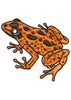 Poison Frog Embroidery Design