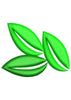 Leaves Embroidery Design