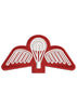 Parashoot Embroidery Design