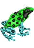 Donga Frog Beauty Colour Embroidery Design
