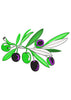 Black Berry Embroidery Design