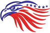 Eagle Embroidery Design