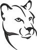 Lion Face Embroidery Design