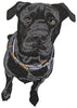Black Dog Embroidery Design