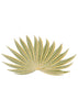 Aloe Vera Embroidery Design