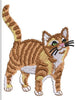 Cat Embroidery Design