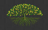 Mango Embroidery Design