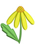 Flower Embroidery Design