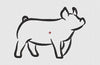 Pig Embroidery Design