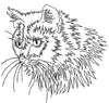 Cat Embroidery Design