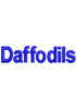Daffodils Embroidery Design