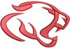 Lion Face Embroidery Design