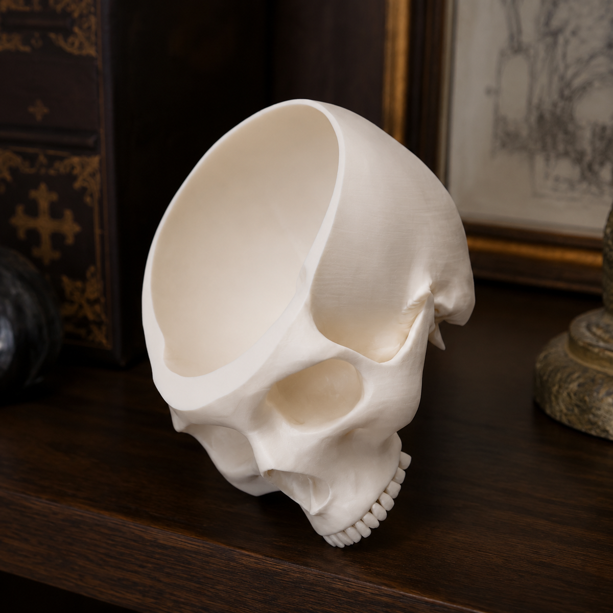 Decorative Skull Plate Without Jaw Print STL File