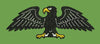 Black Eagle Embroidery Design