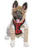 Dog Stand Embroidery Design