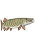 Cruel Fish Embroidery Design