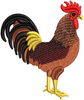 Rooster Embroidery Design