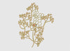 Flower Embroidery Design
