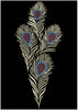Peacock Par Embroidery Design