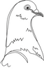 Pigeon Embroidery Design