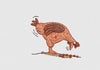 Hen Embroidery Design