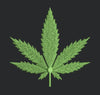 Emerald Serrated Leaf Embroidery Design