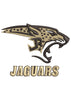 Jaguar Head Embroidery Design