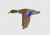 Duck Embroidery Design