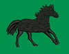 Black Horse Embroidery Design