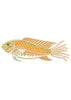 Fish Embroidery Design