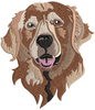 Dog Embroidery Design