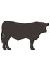 Black Buffalo Embroidery Design