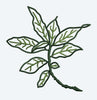 Leaf Embroidery Design