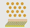 Flower Embroidery Design