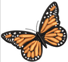 Butterfly Embroidery Design