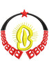 Star Of Pride Embroidery Design