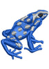 Ilaqai Goga Frog Beauty Colour Embroidery Design