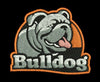 Bulldog Design Embroidery Design