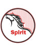 Spirit Embroidery Design