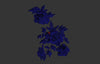 Flower Embroidery Design