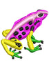 Bravo Frog Beauty Colour Embroidery Design
