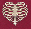 Anatomical Heart Frame Embroidery Design
