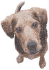 Doggie Embroidery Design