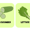 Vegetable Flashcards for Kids